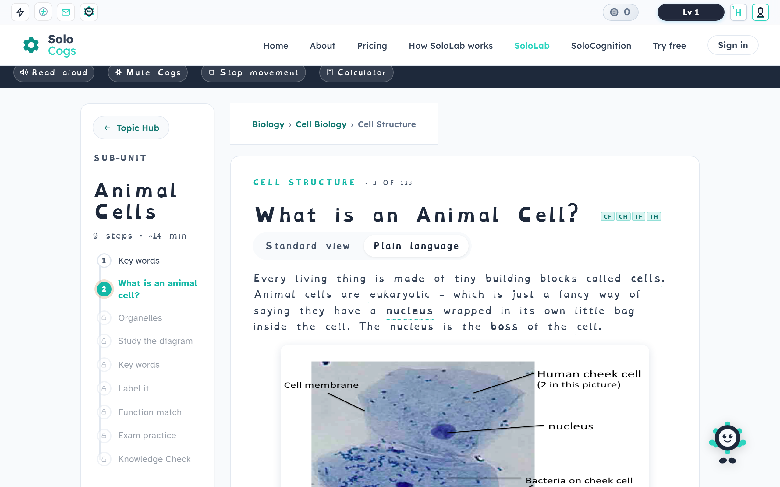 Cell biology lesson with dyslexia-friendly font and accessibility strip pinned across the top of the page.