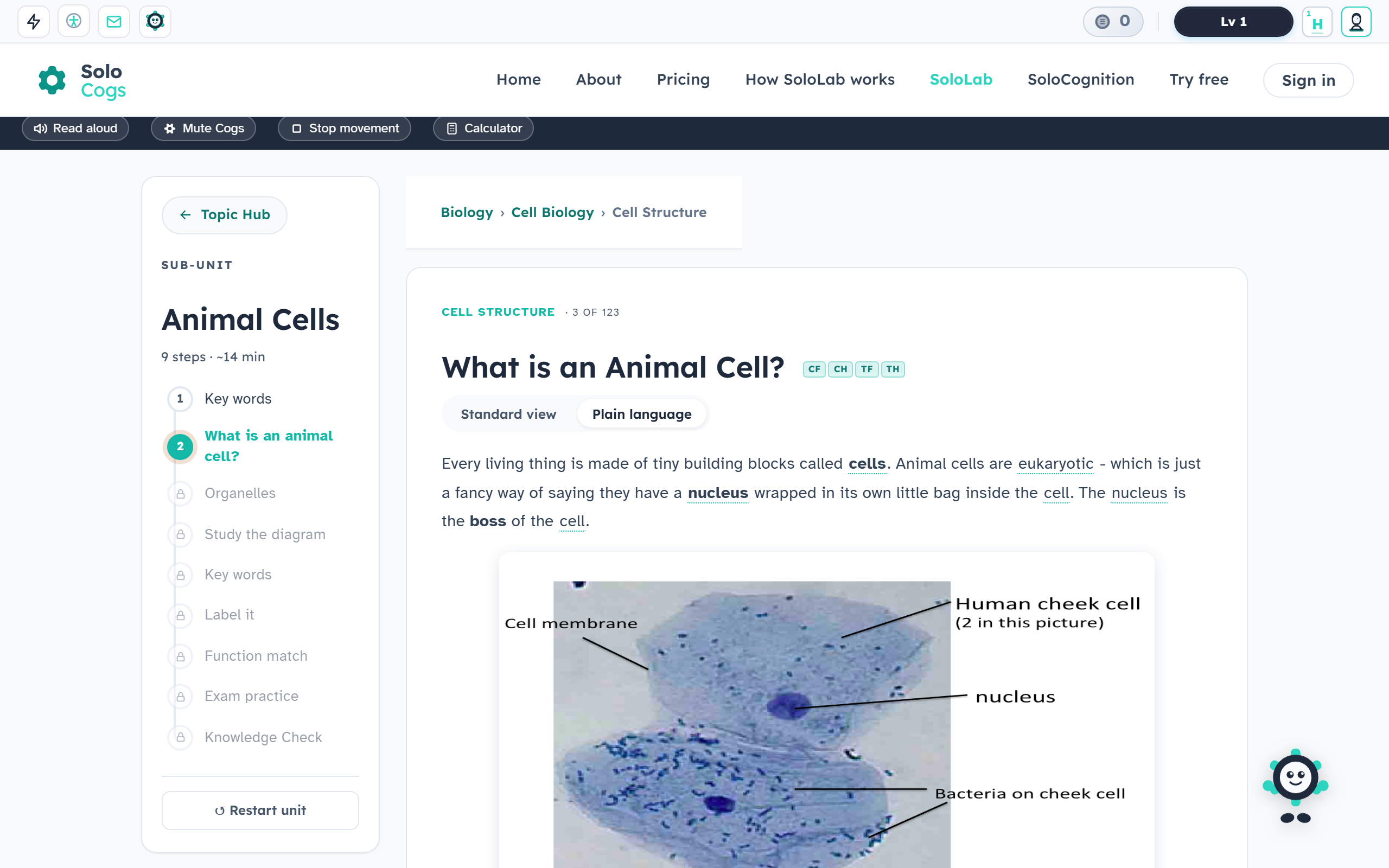 Same Animal Cell lesson with Plain English mode on: every living thing is made of tiny building blocks called cells, nucleus is the boss of the cell.
