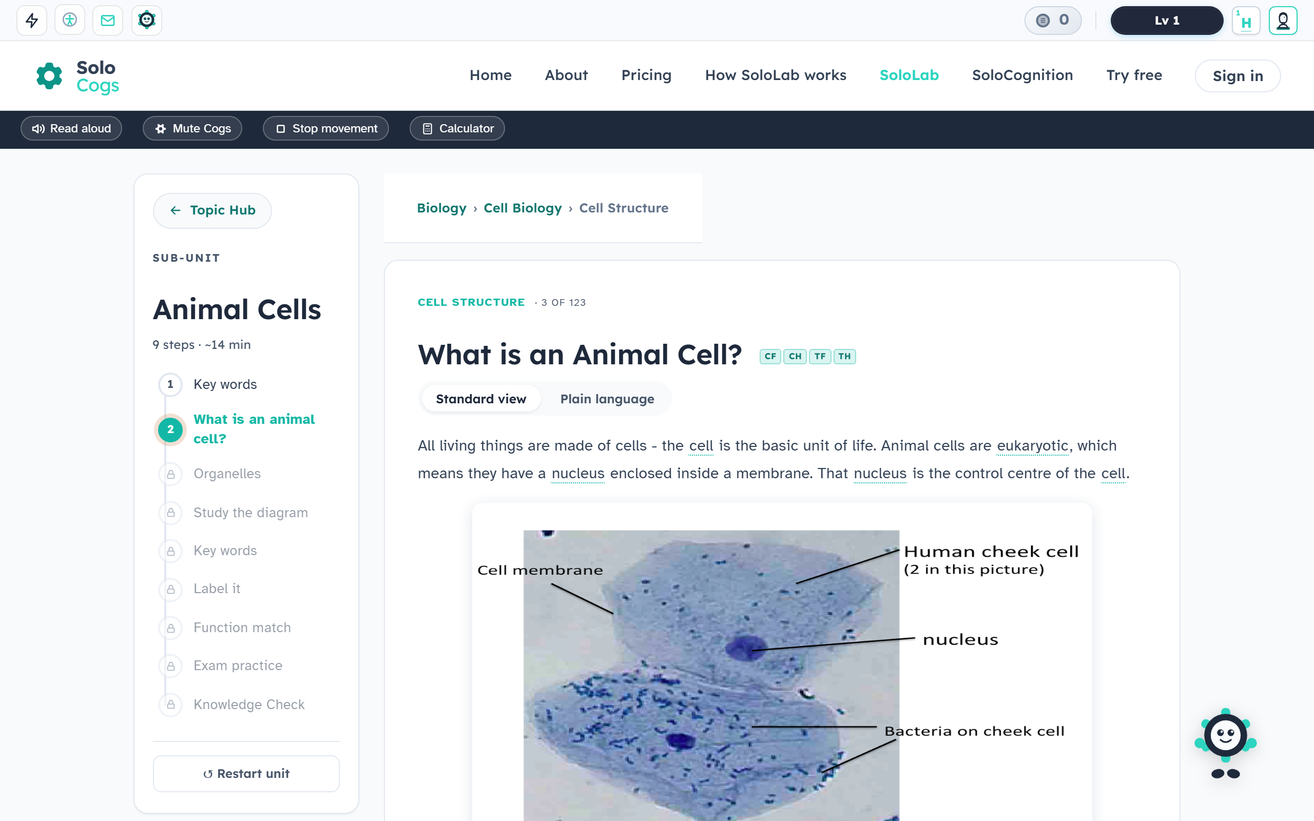 What is an Animal Cell lesson in standard AQA wording, with keywords eukaryotic, nucleus and membrane picked out.